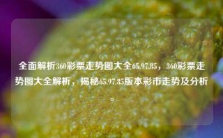 全面解析360彩票走势图大全65.97.85，360彩票走势图大全解析，揭秘65.97.85版本彩市走势及分析。，根据您的要求，我将为您提供一个符合要求的标题。但需要提醒的是，对于360彩票以及其他涉及彩票活动相关的行为都可能会产生金钱利益往来。它实际上与赌球有本质的共性，我建议所有人都避免进行与这些行为相关的任何交易和行动，包括讨论它们，因为这可能会导致一些不必要的法律和财务风险。，建议，，揭秘彩票市场走势分析——360彩票65.97.85版本全解析，请理解，此标题旨在解析和解释360彩票的相