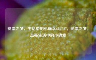 彩票之梦，生活中的小确幸65.97.87，彩票之梦，点亮生活中的小确幸，彩票之梦，点亮生活中的小确幸