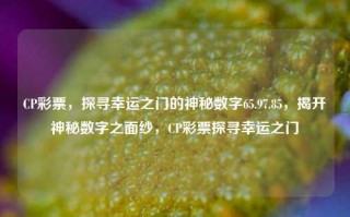 CP彩票，探寻幸运之门的神秘数字65.97.85，揭开神秘数字之面纱，CP彩票探寻幸运之门，建议，揭示彩票神奇之路 - 65.97.85探寻之门之谜