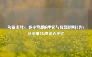 彩票排列5，数字背后的幸运与智慧彩票排列5彩票排列5查询乔任梁