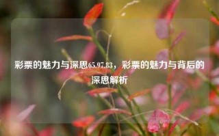 彩票的魅力与深思65.97.83，彩票的魅力与背后的深思解析，彩票的魅力与背后的深思解析