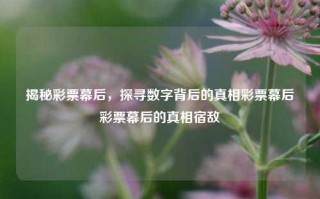 揭秘彩票幕后，探寻数字背后的真相彩票幕后彩票幕后的真相宿敌