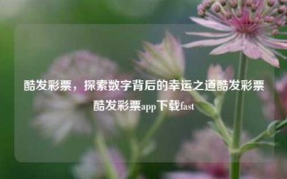 酷发彩票，探索数字背后的幸运之道酷发彩票酷发彩票app下载fast