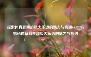 探索体育彩票超级大乐透的魅力与机遇65.97.79，揭秘体育彩票超级大乐透的魅力与机遇，探索体育彩票超级大乐透的魅力与机遇，揭秘65.97.79的背后机遇