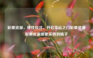 彩票资源，理性投注，开启幸运之门彩票资源彩票资源哪里买得到杨子