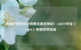 我国优质龙头并购整合需求突出！A50ETF华宝（159596）有望持续受益