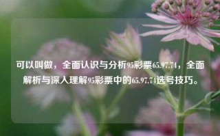 可以叫做，全面认识与分析95彩票65.97.74，全面解析与深入理解95彩票中的65.97.74选号技巧。，全面解析与深入理解95彩票中的65.97.74选号技巧及全面认识分析