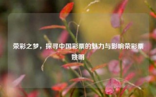 荣彩之梦，探寻中国彩票的魅力与影响荣彩票姚明