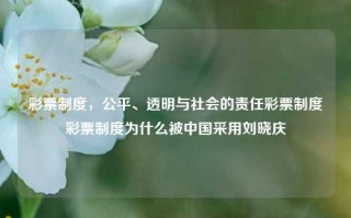 彩票制度，公平、透明与社会的责任彩票制度彩票制度为什么被中国采用刘晓庆