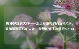 揭秘梦想的火花——走进彩票扣的背后65.97.80，揭秘彩票背后的火花，梦想的诞生与追寻65.97.80，揭秘梦想之火花，65.97.80 深入探秘彩票的奇幻之旅