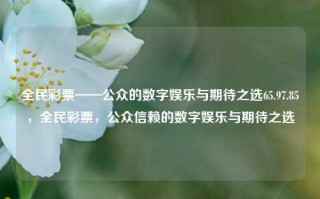 全民彩票——公众的数字娱乐与期待之选65.97.85，全民彩票，公众信赖的数字娱乐与期待之选，全民彩票，公众信赖的数字娱乐首选平台