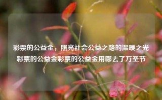 彩票的公益金，照亮社会公益之路的温暖之光彩票的公益金彩票的公益金用哪去了万圣节