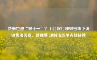 费率也迎“双十一”？ 11月银行理财密集下调销售服务费、管理费 理财市场争夺战持续