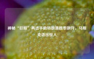 神秘“巨鲸”再出手助特朗普胜率飙升，马斯克语出惊人