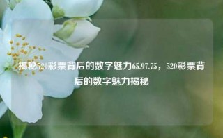 揭秘520彩票背后的数字魅力65.97.75，520彩票背后的数字魅力揭秘，揭秘520彩票背后的数字魅力，65.97.75 真相揭示