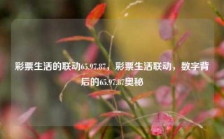 彩票生活的联动65.97.87，彩票生活联动，数字背后的65.97.87奥秘，彩票生活联动之数字背后的奥秘，65.97.87的秘密