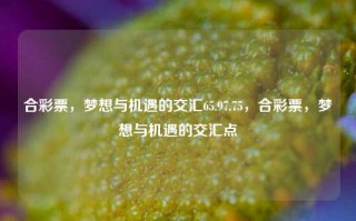 合彩票，梦想与机遇的交汇65.97.75，合彩票，梦想与机遇的交汇点，彩票之路，机遇与梦想交织之处的决定之路。