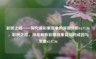 彩民之路——探究端彩票现象的深度分析65.97.86，彩民之路，深度解析彩票现象背后的成因与发展65.97.86，建议，，彩民之路，深度解析彩票现象背后的成因与发展