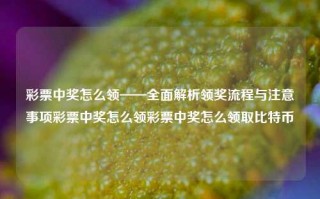 彩票中奖怎么领——全面解析领奖流程与注意事项彩票中奖怎么领彩票中奖怎么领取比特币