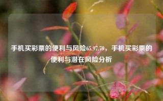 手机买彩票的便利与风险65.97.79，手机买彩票的便利与潜在风险分析，手机买彩票的便利与潜在风险分析