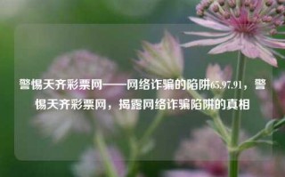 警惕天齐彩票网——网络诈骗的陷阱65.97.91，警惕天齐彩票网，揭露网络诈骗陷阱的真相，警惕天齐彩票网，揭露网络诈骗陷阱的真相