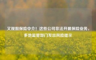 又现假保险中介！这些公司非法开展保险业务，多地监管部门发出风险提示