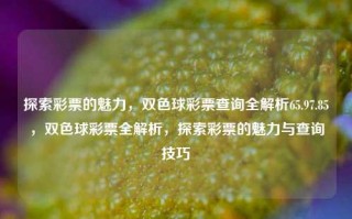 探索彩票的魅力，双色球彩票查询全解析65.97.85，双色球彩票全解析，探索彩票的魅力与查询技巧，双色球彩票全解析与查询技巧——探寻其魅力和互动之路