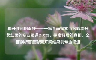 揭开胜利的面纱——一篇全面探索百度彩票开奖结果的专业报道65.97.81，探索背后的真相，全面剖析百度彩票开奖结果的专业报道，百度彩票开奖结果深度解析，探寻胜利背后的秘密与真相