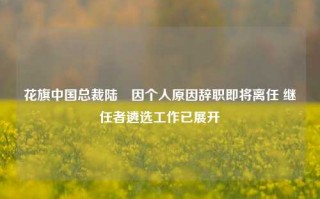 花旗中国总裁陆烜因个人原因辞职即将离任 继任者遴选工作已展开