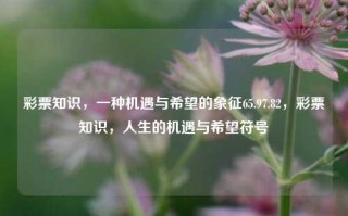 彩票知识，一种机遇与希望的象征65.97.82，彩票知识，人生的机遇与希望符号，彩票知识，人生的机遇与希望的符号65.97.82