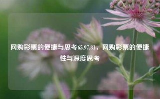 网购彩票的便捷与思考65.97.81，网购彩票的便捷性与深度思考，网购彩票的便捷与深度思考