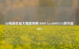 Q3每股收益大幅超预期 ROOT Lnc(ROOT.US)飙升超160%