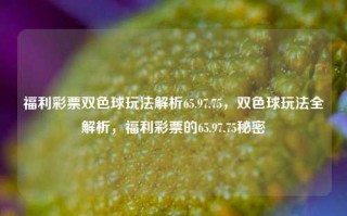 福利彩票双色球玩法解析65.97.75，双色球玩法全解析，福利彩票的65.97.75秘密，揭秘双色球玩法与65.97.75规律福利彩票双色球全攻略解析之道