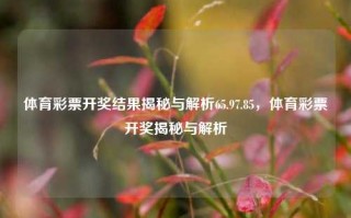 体育彩票开奖结果揭秘与解析65.97.85，体育彩票开奖揭秘与解析，体育彩票开奖结果揭秘与解析 65.97.85 深度解读中奖技巧