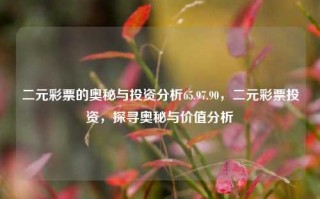 二元彩票的奥秘与投资分析65.97.90，二元彩票投资，探寻奥秘与价值分析，二元彩票的奥秘与价值投资分析65.97.90