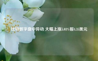 比特数字盘中异动 大幅上涨5.03%报4.35美元