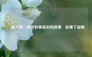 囍彩之梦，探寻彩票背后的故事囍彩票丁俊晖