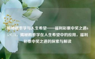 揭秘概率学与人生希望——福利彩票中奖之道65.97.73，揭秘概率学在人生希望中的应用，福利彩票中奖之道的探索与解读，揭秘概率学在人生决策中的价值，福利彩票中奖之道的探索与解读