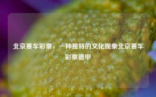 北京赛车彩票，一种独特的文化现象北京赛车彩票德甲