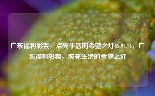 广东福利彩票，点亮生活的希望之灯65.97.74，广东福利彩票，照亮生活的希望之灯，广东福利彩票——生活希望之灯，助力温暖你我他