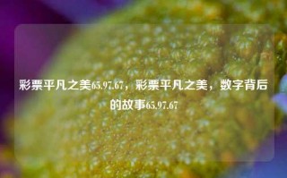 彩票平凡之美65.97.67，彩票平凡之美，数字背后的故事65.97.67，彩票平凡之美，数字背后的故事65.97.67