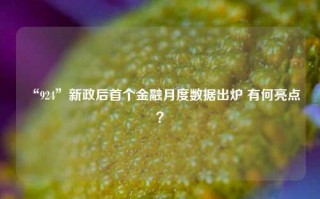 “924”新政后首个金融月度数据出炉 有何亮点？