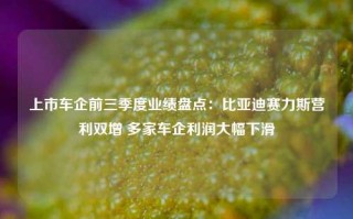 上市车企前三季度业绩盘点：比亚迪赛力斯营利双增 多家车企利润大幅下滑