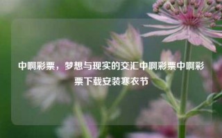 中啊彩票，梦想与现实的交汇中啊彩票中啊彩票下载安装寒衣节