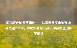 探秘双色球开奖奥秘——从彩票开奖查询到中奖之道65.97.68，探秘双色球开奖，中奖之道的深度解析，探寻双色球开奖背后密码