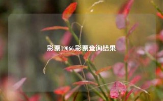 彩票19066,彩票查询结果