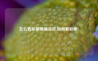 怎么看彩票精确资讯,如何看彩票?