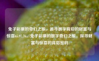 兔子彩票的奇幻之旅，追寻数字背后的财富与惊喜65.97.76，兔子彩票的数字奇幻之旅，探寻财富与惊喜的背后密码，兔子彩票的数字奇幻之旅，探寻财富与惊喜的密码