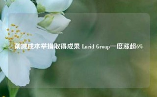 削减成本举措取得成果 Lucid Group一度涨超6%