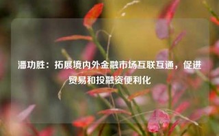 潘功胜：拓展境内外金融市场互联互通，促进贸易和投融资便利化